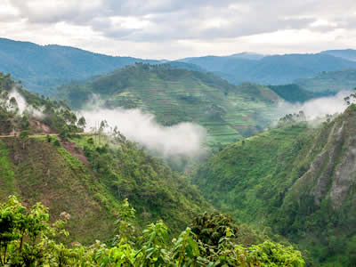 Ruandas ceļojuma programma garantētos laikos  mazā grupā